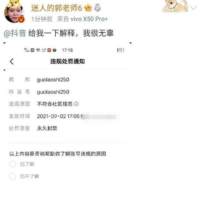 关于我感觉你在无中生有聊天记录视频的信息