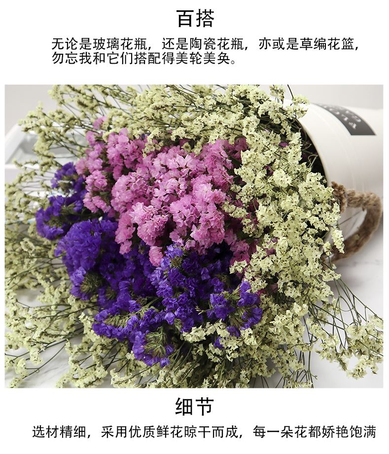 搜索勿忘我聊天记录(亲爱的勿忘我的聊天记录)