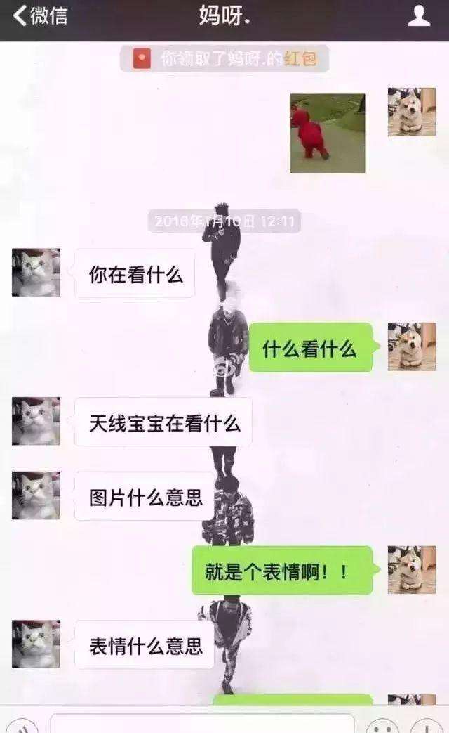 愉悦聊天记录(愉快的聊天记录)