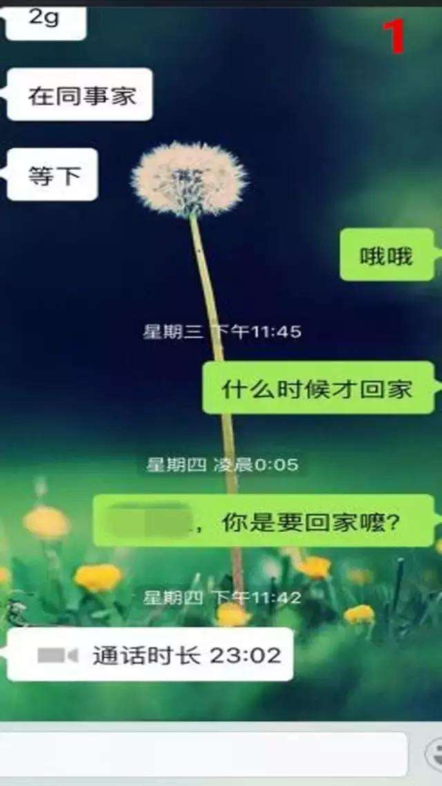 包含告诉爸妈不能回家过年的聊天记录的词条