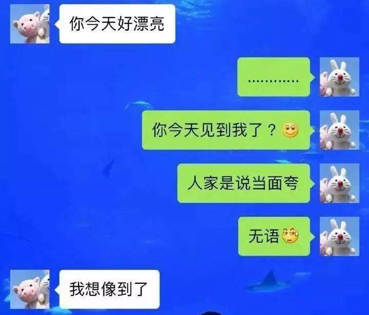遇到舔狗聊天记录的简单介绍
