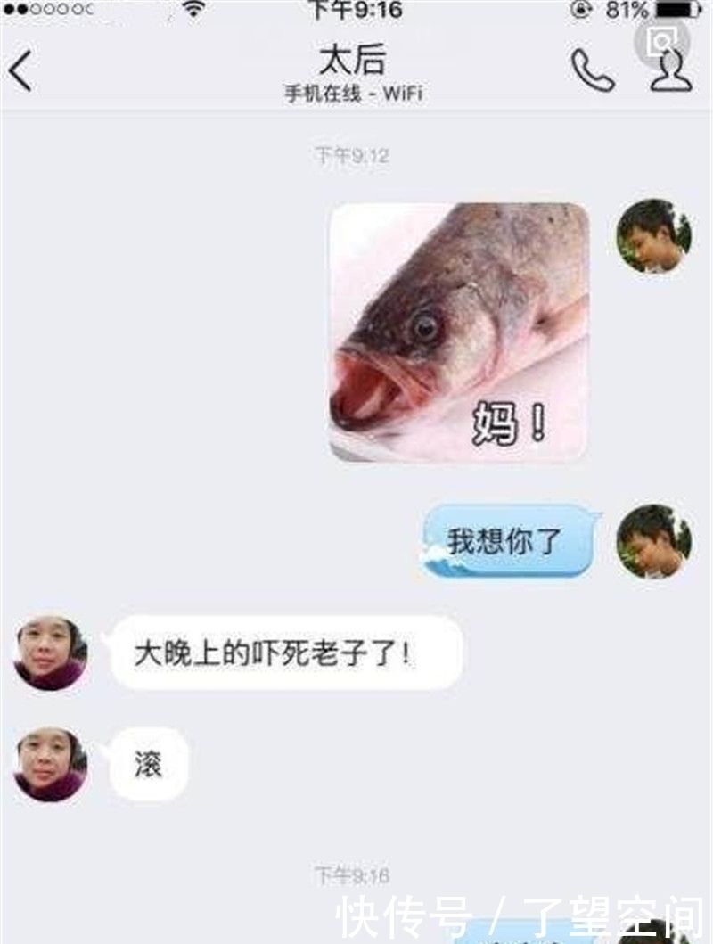 熊猫和爸爸聊天记录(熊猫和爸爸聊天记录卡)