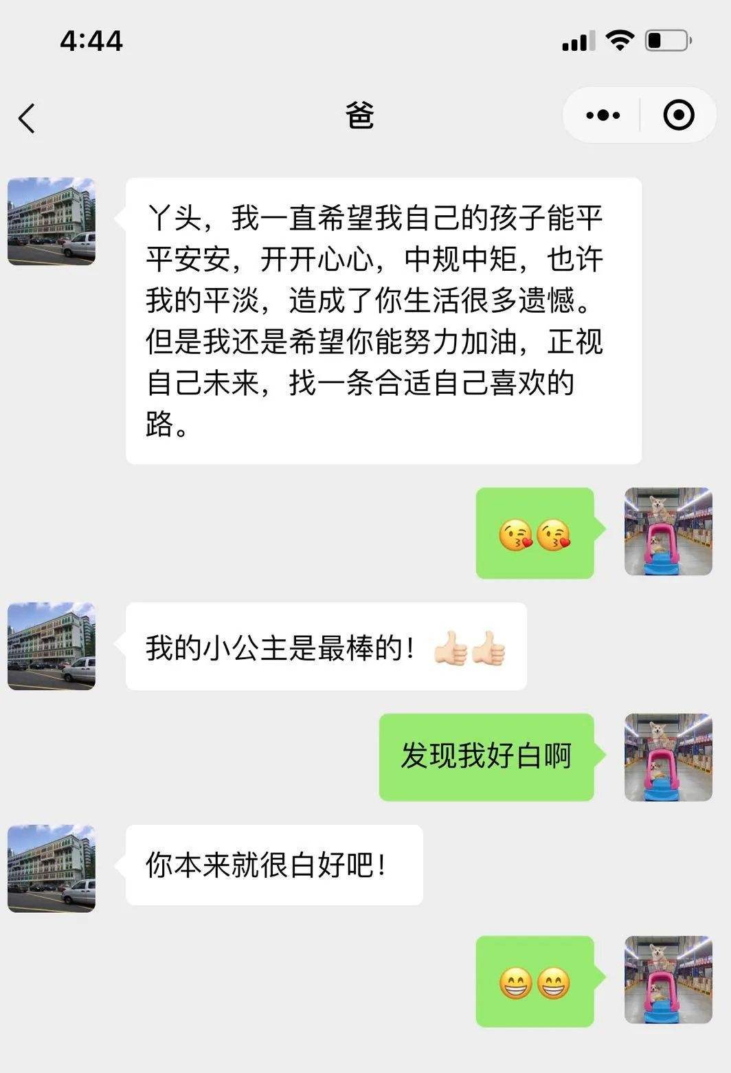熊猫和爸爸聊天记录(熊猫和爸爸聊天记录卡)