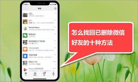 微信已删除的好友怎样看聊天记录(微信已删除的好友怎样看聊天记录内容)