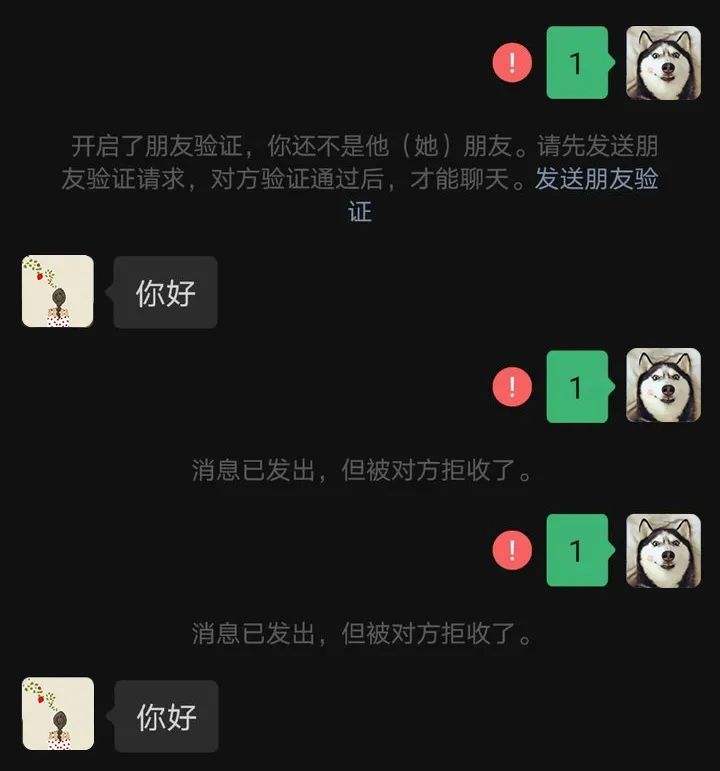 不是好友能查聊天记录吗(不是好友怎么查聊天记录)