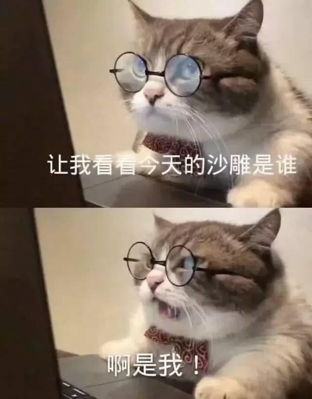 和闺蜜一起沙雕的聊天记录文案(和闺蜜一起沙雕的聊天记录文案怎么写)