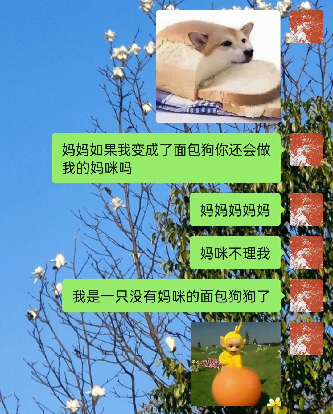 梦到我的妈妈聊天记录(梦见自己的妈妈和自己说话)