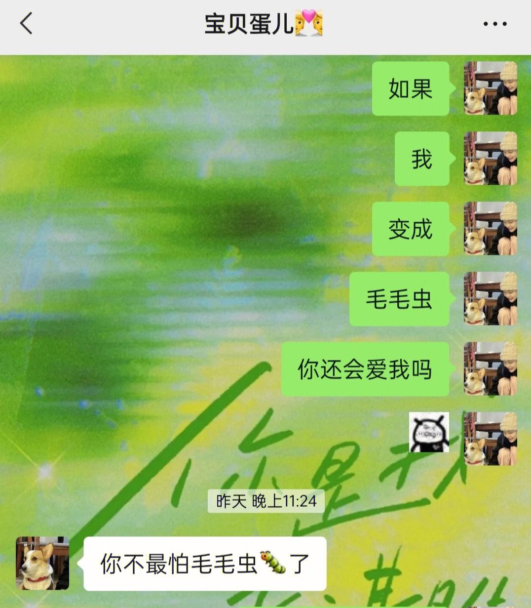 夫妻二人手机微信聊天记录(夫妻二人手机微信聊天记录怎么查)