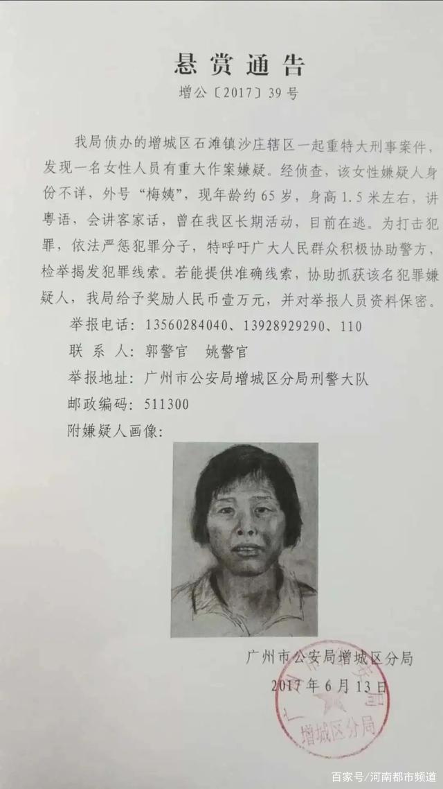 包含梅姨赵斗顺聊天记录的词条