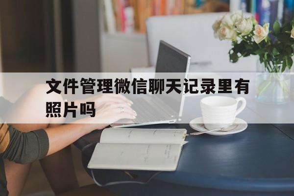 文件管理微信聊天记录里有照片吗(文件管理微信聊天记录里有照片吗安全吗)