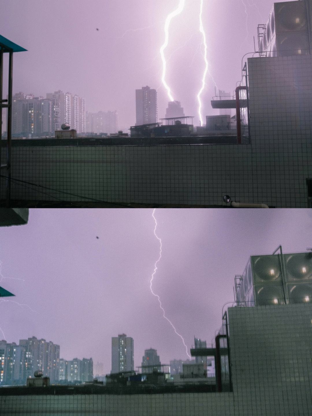 雷雨辰聊天记录(雷雨晨微博)