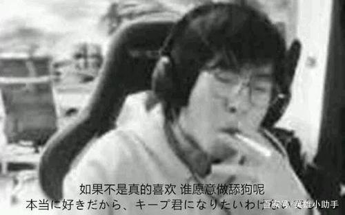 包桑聊天记录(15694232聊天记录下载)